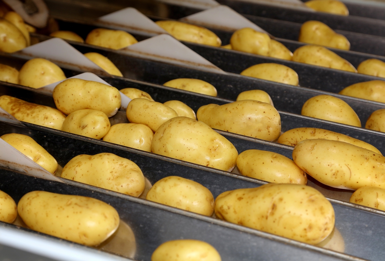 Belgische Kartoffeln | Belgische Kartoffeln
