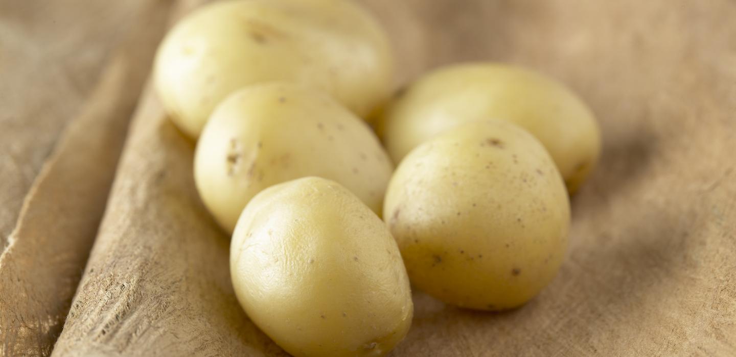 Pommes de terre belges